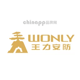 王力安防