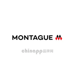 蒙特奇Montague