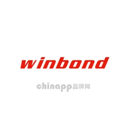 华邦电子winbond