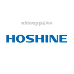 合盛硅业HOSHINE