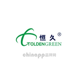 恒久SGT