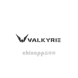 瓦尔基里VALKYRIE