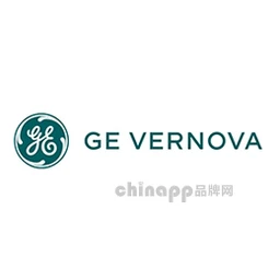 通用电气能源GE Vernova