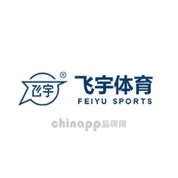 飞宇体育