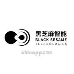 黑芝麻智能BlackSesame