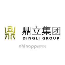 鼎立集团