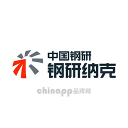 钢研纳克