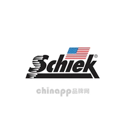 Schiek